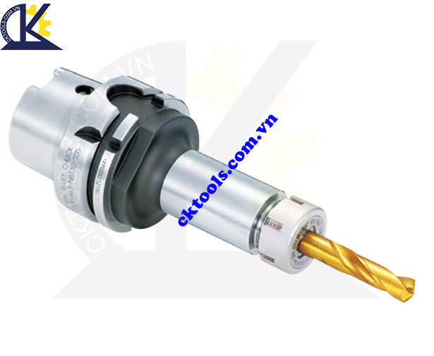 Đầu kẹp dao  BIG DAISHOWA  HSK-A100-NBS6-90 , -120 ,-165 , NEW BABY CHUCK   HSK-A100-NBS6-90 , -120 ,-165